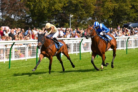 Tattersalls Sovereign Stakes & Summer Holiday Family Races, Horse Racing, Salisbury Racecourse, Wiltshire, United Kingdom - 15 Aug 2019