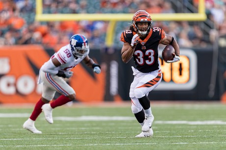 August 22, 2019: Cincinnati Bengals tight end Cethan Carter (82) during NFL  football preseason game action between the New York Giants and the  Cincinnati Bengals at Paul Brown Stadium in Cincinnati, OH.