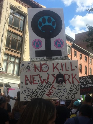 Animal Rights March 2019 Nyc Editorial Stock Photo - Stock Image ...