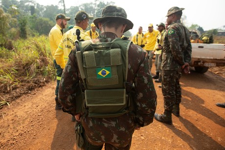 Firefighters Ibama Fire Brigade Members Brazilian Editorial Stock Photo ...