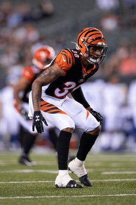 Cincinnati Bengals linebacker Noah Dawkins (44) after an NFL football  preseason game between the Indianapolis Colts and the Cincinnati Bengals at  Paul Brown Stadium in Cincinnati, OH. Adam Lacy/CSM Stock Photo 