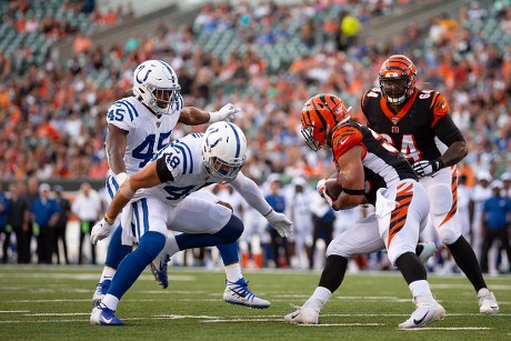 GALLERY: Indianapolis Colts at Cincinnati Bengals, Aug. 29