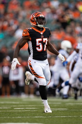 Cincinnati Bengals Linebacker Germaine Pratt 57 Editorial Stock Photo -  Stock Image