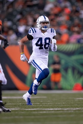 GALLERY: Indianapolis Colts at Cincinnati Bengals, Aug. 29