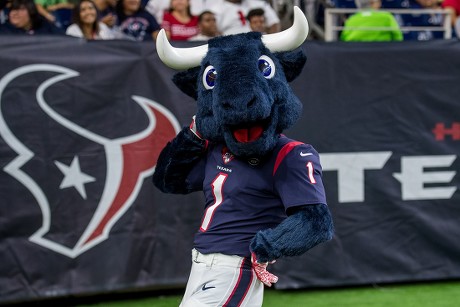 Houston Texans Mascot Toro Poses Photo Editorial Stock Photo - Stock Image