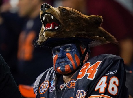 chicago bears bear hat