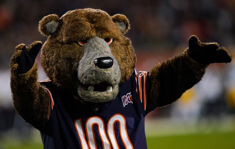 Staley Da Bear Official Mascot Chicago Editorial Stock Photo