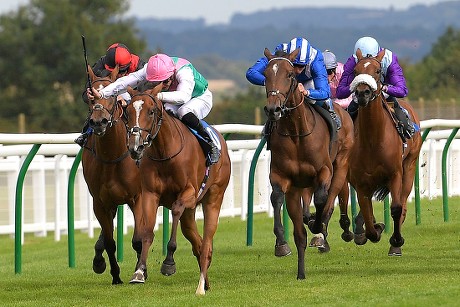 Shadwell Dick Poole Fillies Stakes & EBF Race Day, Horse Racing, Salisbury Racecourse, Wiltshire, United Kingdom - 05 Sep 2019