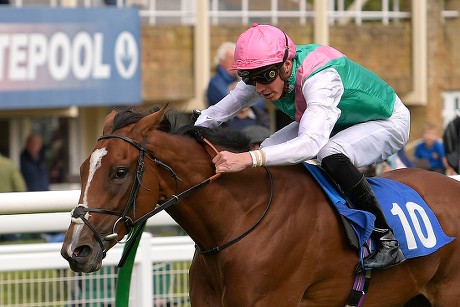 Shadwell Dick Poole Fillies Stakes & EBF Race Day, Horse Racing, Salisbury Racecourse, Wiltshire, United Kingdom - 05 Sep 2019