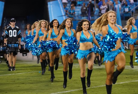 Pin on Cheerleaders - Carolina Panthers