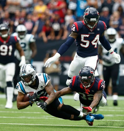 Photo Gallery: Carolina Panthers vs Houston Texans