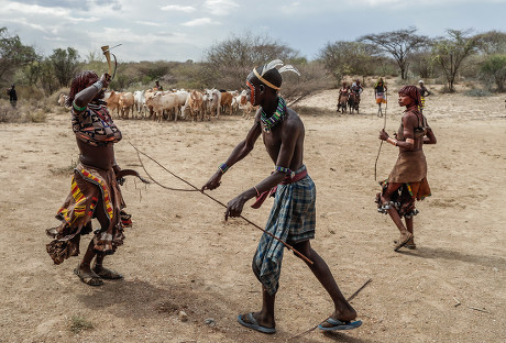 Female Members Hammer Tribe Village Turmi Editorial Stock Photo - Stock ...