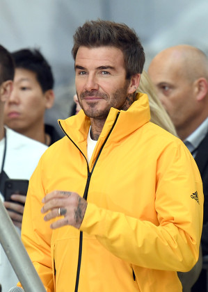 david beckham yellow adidas jacket