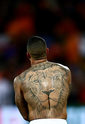 Showing off tattoos and keeping a wild pet How Memphis Depay is  selfisolating  Pulse Ghana