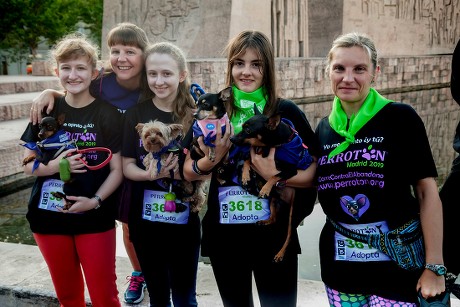 Race against dog abandonment, Madrid, Spain - 13 Oct 2019