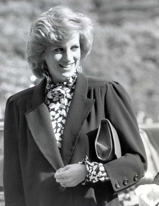 500 Princess diana 1984 Stock Pictures, Editorial Images and Stock ...