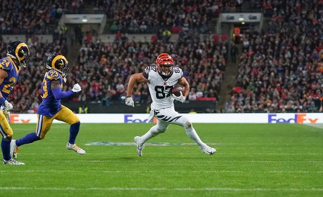 Cincinnati Bengals Tight End Cj Uzomah Editorial Stock Photo - Stock Image