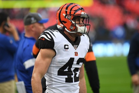 Cincinnati Bengals Defensive Back Clayton Fejedelem Editorial Stock Photo -  Stock Image