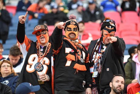 Cincinnati Bengals Fans Club Colours During Editorial Stock Photo - Stock  Image