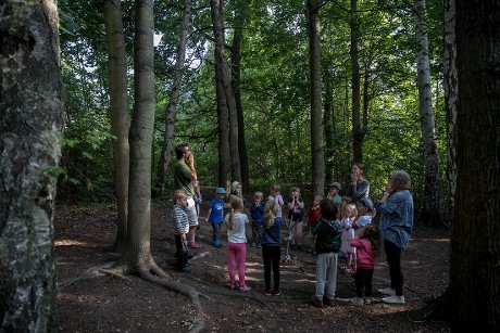 Students Teachers Practise Morning Circle Outdoors Editorial Stock ...