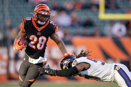 Josh Bynes on field for Ravens' Super Bowl anniversary 