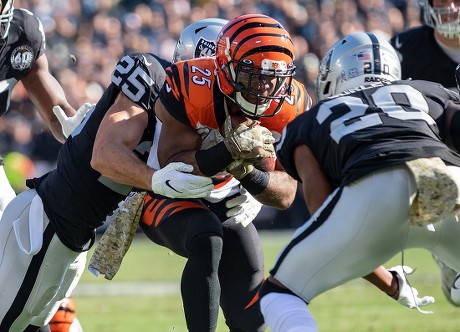 Oakland, California, USA. 17th Nov, 2019. Oakland Raiders tight end Foster  Moreau (87) celebrates his touchdown, during a NFL game between the  Cincinnati Bengals and the Oakland Raiders at the Oakland Coliseum