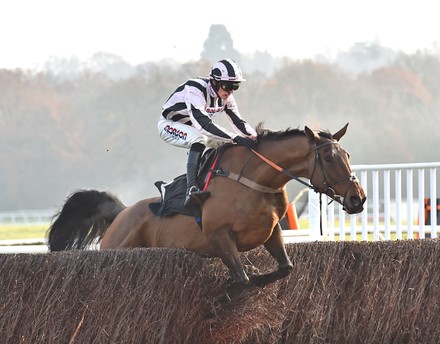 The Ladbrokes Trophy, Horse Racing, Newbury Racecourse, Berkshire, UK - 30 Nov 2019