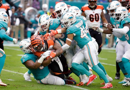 Miami Gardens, Florida, USA. 22nd Dec, 2019. The Miami Dolphins  cheerleaders share the Christmas spirit as they perform during an NFL  football game between the Miami Dolphins and the Cincinnati Bengals at