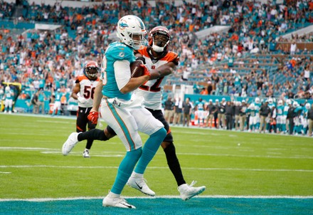 Miami Dolphins Trevor Davis L Scores Editorial Stock Photo - Stock