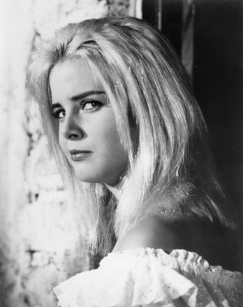 250 Sue lyon Stock Pictures, Editorial Images and Stock Photos