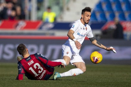 __COUNT__ Bologna V Fiorentina, Serie A, Football, Stadio Renato Dall ...