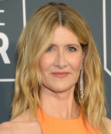 Laura Dern Editorial Stock Photo - Stock Image | Shutterstock