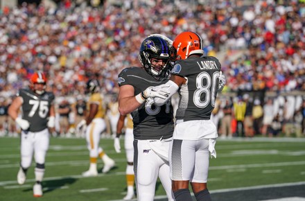 Mark Andrews Tight End Baltimore Ravens Editorial Stock Photo