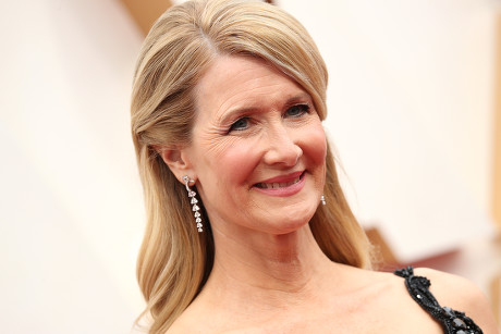 Laura Dern Editorial Stock Photo - Stock Image | Shutterstock