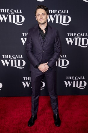 World Premiere - The Call of The Wild, Hollywood, USA - 13 Feb 2020