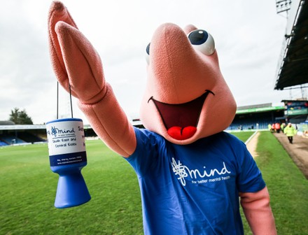 Southend United FC Exiles - Altrincham have a Robin mascot. I don't know  its name though.