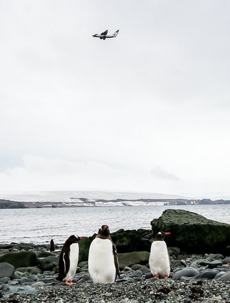 Scientists study how increasing tourism is impacting the Frozen Continent, King George Island, Antarctica - 16 Jan 2020