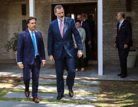 king felipe vi visit uruguay Stock Photos (Exclusive) | Shutterstock