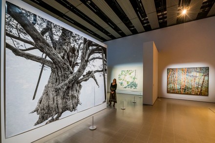 'Among The Trees' exhibition preview, Hayward Gallery, London, UK - 03 Mar 2020