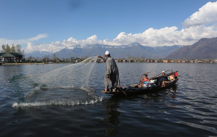Kashmiri Muslim Fisher Man Cast His Editorial Stock Photo - Stock Image ...