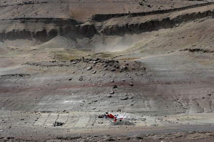 3143 Group Paleontologists Works On Fossil Editorial Stock Photo