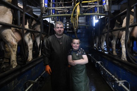 __COUNT__ Family farm in County Offaly, Ireland - 07 Apr 2020 Stock ...