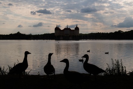 A visit to Moritzburg Castle, Germany - 14 May 2020