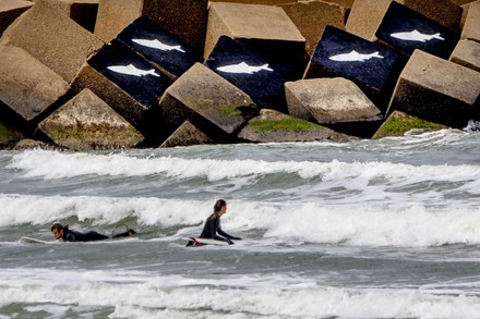 Death Of Five Surfers In Storm, Delft, Netherlands - 16 May 2020 Stock ...