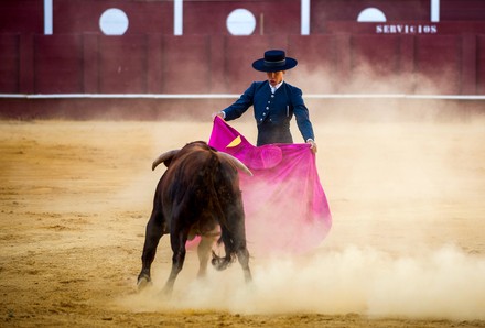 Masterclass of bullfighting in Malaga, Spain - 30 May 2020