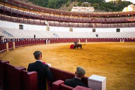 Masterclass of bullfighting in Malaga, Spain - 30 May 2020