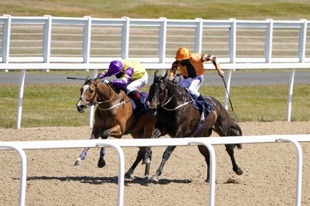 Horse Racing from Newcastle, Newcastle upon Tyne, UK - 01 Jun 2020