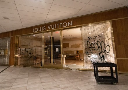 Louis Vuitton Store Mn