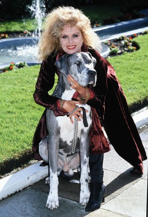 Joanna Lumley 1994 Editorial Stock Photo - Stock Image | Shutterstock