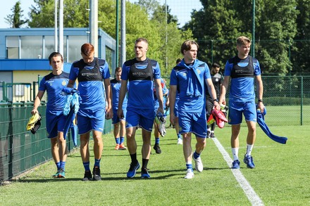 Waasland-Beveren's head coach Nicky Hayen pictured during the